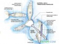 RTM工藝應(yīng)用之新型復合材料螺旋槳葉（上）